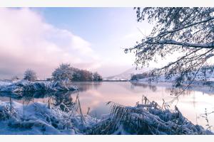 Wintermorgen