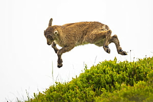Jump