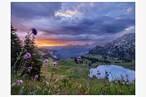 Bergsommermorgen