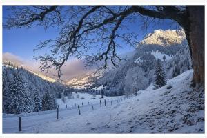 unter dem Baum