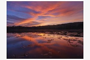 Morgenrot am See