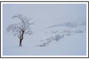 Der Kälte trozend Der Kälte trozend