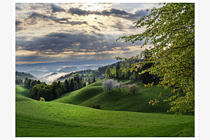 Morgensonne 