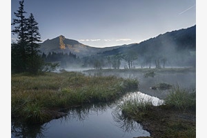 Morgennebel