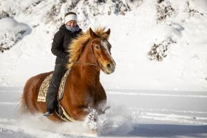 Galopp im Winterwunderland