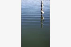Am See