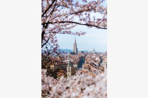 Bern erwacht