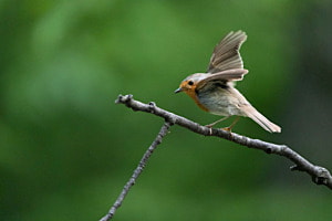 Abflug