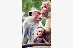 Family portrait 