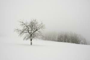 Stille im Winter Stille im Winter
