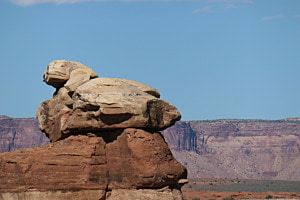 Nature´s sphinx