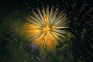 Feuerblume