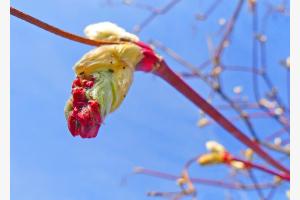 Frühling