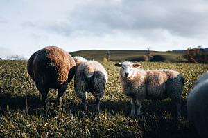 Gross und klein