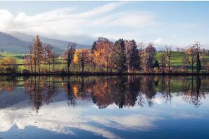 Herbststimmung