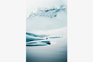 Into the Wild