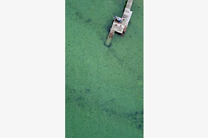 lac de Bienne