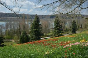 Mainau