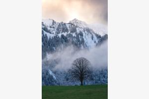 Nach dem Unwetter Nach dem Unwetter