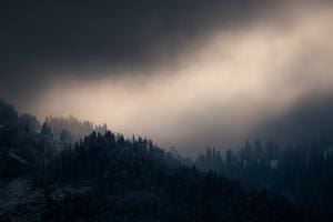 Stille 1 Stille 1