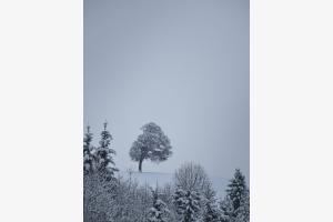 Stille 3 Stille 3