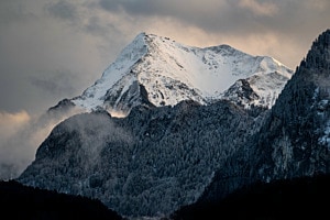 Niesen