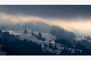 Touch of light