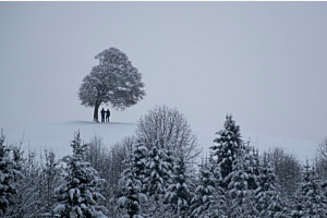 Besucher
