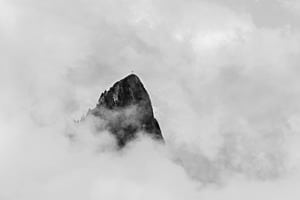 Spitzflue