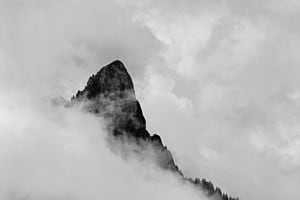 Spitzflue