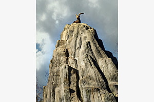 Steinbock