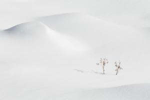 Stille