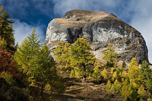Wallis
