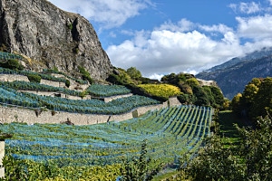 Wallis