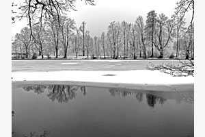 Weiher