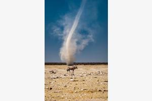 whirlwind etosha