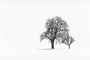 zu zweit im Schnee zu zweit im Schnee