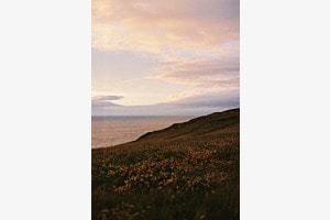 Polly Joke Beach