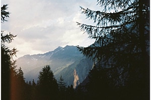 Bellwald