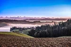 Nebelmeer
