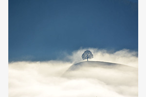 Die tiefe Wolke 