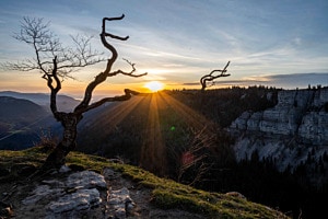 Morgenstund