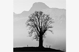 Stockhorn im Quadrat