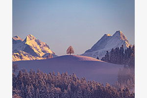 die Linde im Emmental