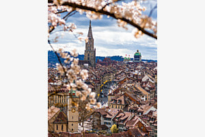 Bern im Blütenzauber