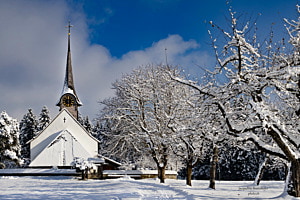 Winter