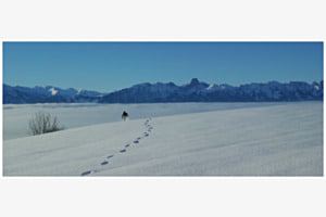 Spiren im Schnee...