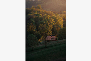 Summer Evening