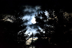 Vollmond