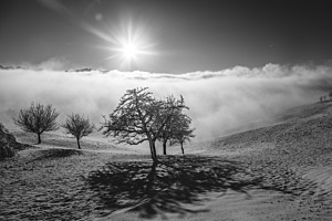 Winterlandschaft